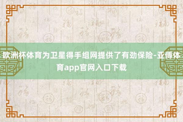 欧洲杯体育为卫星得手组网提供了有劲保险-亚傅体育app官网入口下载