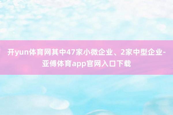 开yun体育网其中47家小微企业、2家中型企业-亚傅体育app官网入口下载